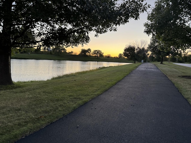 2730 Lorraine Cir, Geneva, IL 60134 - water view