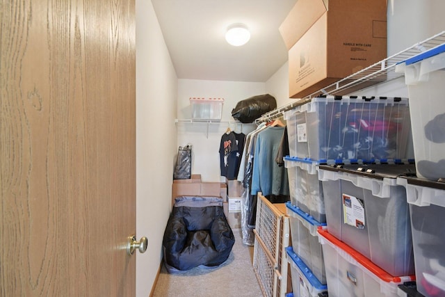 1911 Indian Hill Ln, Aurora, IL 60503 - view of storage