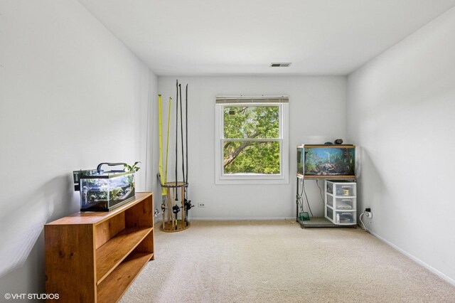 2980 Northampton Dr Unit A2, Rolling Meadows, IL 60008 - miscellaneous room with carpet flooring and baseboards