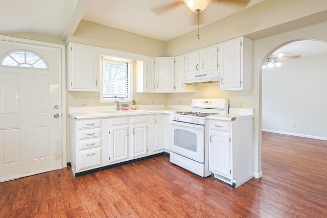359 Elm St, Elgin, IL 60123 - kitchen with under cabinet range hood, white gas range, a ceiling fan, a sink, and healthy amount of natural light