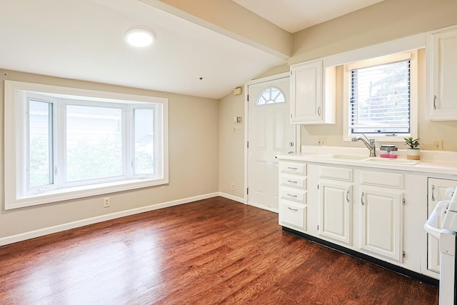 359 Elm St, Elgin, IL 60123 - kitchen featuring dark wood-type flooring, white cabinetry, a sink, and baseboards