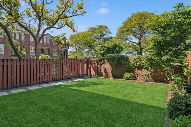 2717 S Michigan Ave, Chicago, IL 60616 - view of yard