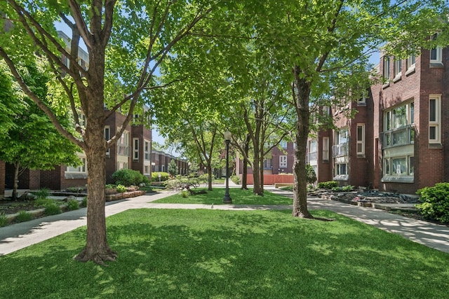 2717 S Michigan Ave, Chicago, IL 60616 - view of home's community featuring a yard and a residential view