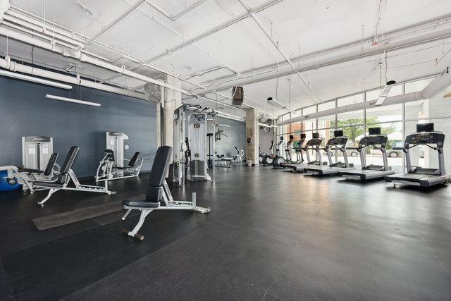 50 E 16th St Unit 312, Chicago, IL 60616 - view of workout area