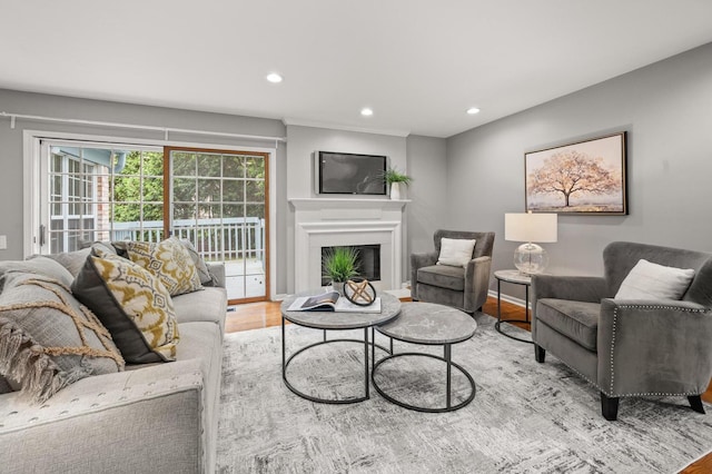 651 Marseilles Cir, Buffalo Grove, IL 60089 - living room featuring wood finished floors, a glass covered fireplace, recessed lighting, and baseboards