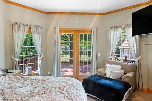 6099 Polo Club Dr, Yorkville, IL 60560 - carpeted bedroom with access to outside and crown molding