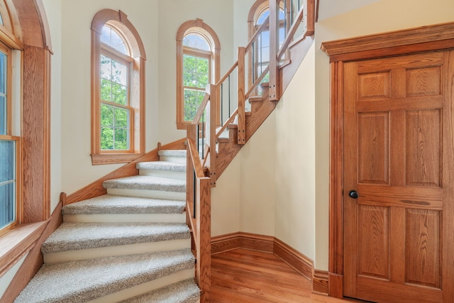 1616 Riverside Ave, Saint Charles, IL 60174 - stairs featuring wood finished floors and baseboards