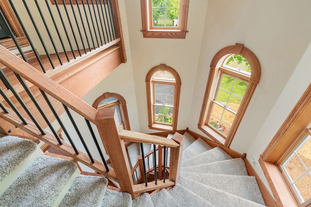 1616 Riverside Ave, Saint Charles, IL 60174 - stairs with a high ceiling