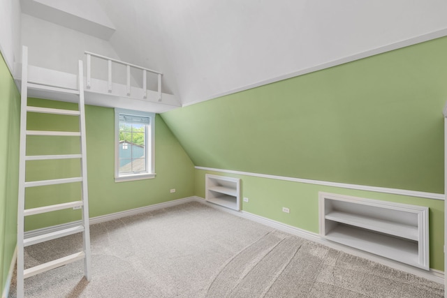 1616 Riverside Ave, Saint Charles, IL 60174 - additional living space with built in features, lofted ceiling, and carpet flooring