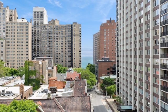 1400 N State Pkwy Unit 9F, Chicago, IL 60610 - view of city