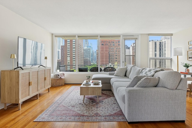 1400 N State Pkwy Unit 9F, Chicago, IL 60610 - living room with light wood-style floors