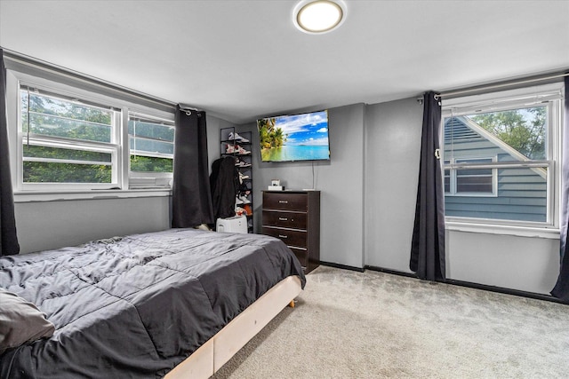 475 S Edison Ave, Elgin, IL 60123 - carpeted bedroom with multiple windows