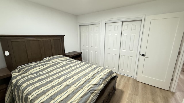 532 W 27th St, Chicago, IL 60616 - bedroom with wood finished floors and multiple closets