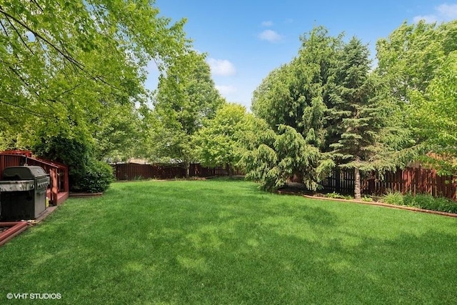 2746 Middleton Ct, Aurora, IL 60503 - view of yard
