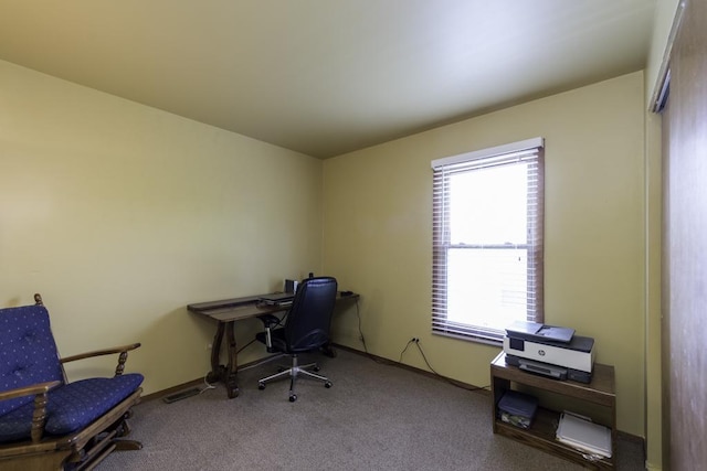 33061 N Rolling Hills Rd, Grayslake, IL 60030 - office area with carpet flooring and baseboards