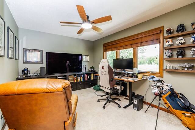 181 N Meadowlark Dr, Hawthorn Woods, IL 60047 - carpeted office space with ceiling fan