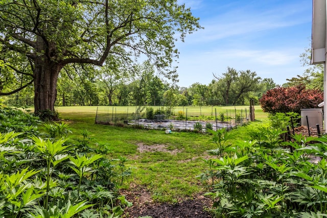 1414 Lincoln St, Evanston, IL 60201 - view of grassy yard