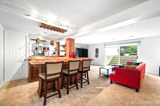 636 Cambridge Dr, Schaumburg, IL 60193 - indoor wet bar featuring a textured ceiling and light carpet