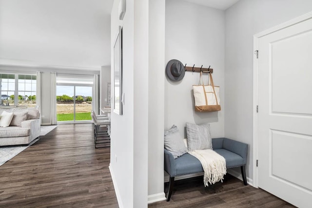 14712 S Azalia Cir, Plainfield, IL 60544 - sitting room with wood finished floors and baseboards