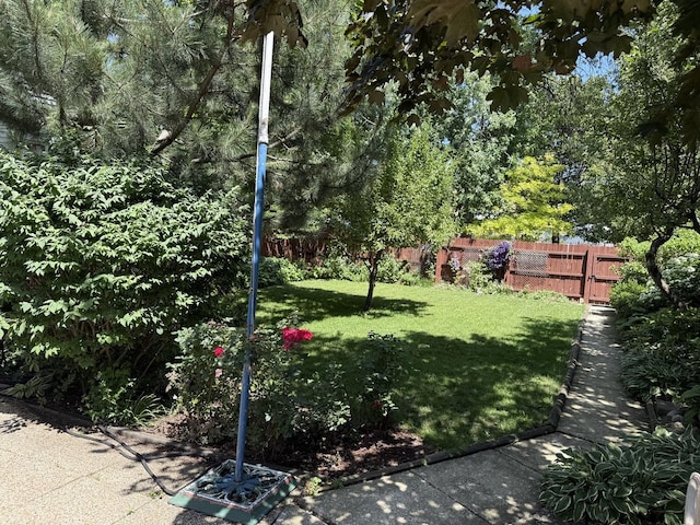 2110 N Mobile Ave, Chicago, IL 60639 - view of yard