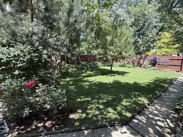 2110 N Mobile Ave, Chicago, IL 60639 - view of fenced backyard
