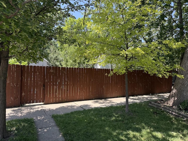 2110 N Mobile Ave, Chicago, IL 60639 - view of yard