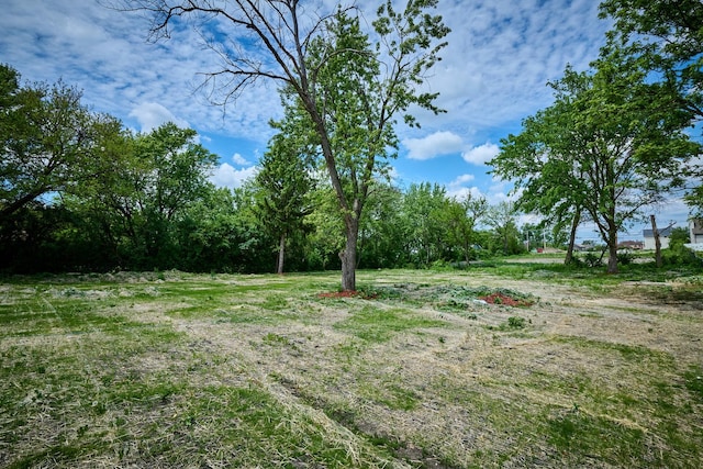 106 E 22nd St, Lombard, IL 60148 - photo 55