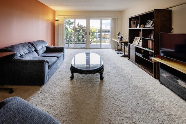 7021 W Touhy Ave Unit 305, Niles, IL 60714 - view of carpeted living room