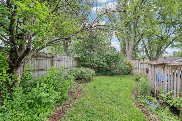 11537 S Neenah Ave, Worth, IL 60482 - view of yard