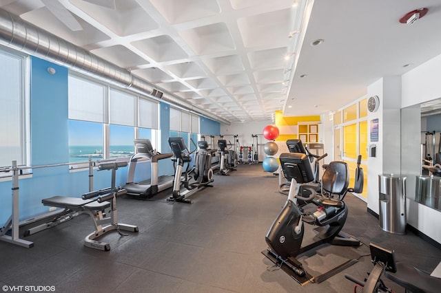 1300 N Lake Shore Dr Unit 18D, Chicago, IL 60610 - view of gym