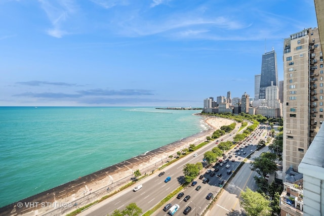 1300 N Lake Shore Dr Unit 18D, Chicago, IL 60610 - water view with skyline