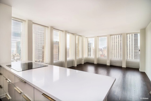 100 E Walton St Unit 22H, Chicago, IL 60611 - kitchen with black electric cooktop, dark wood-style floors, and light countertops