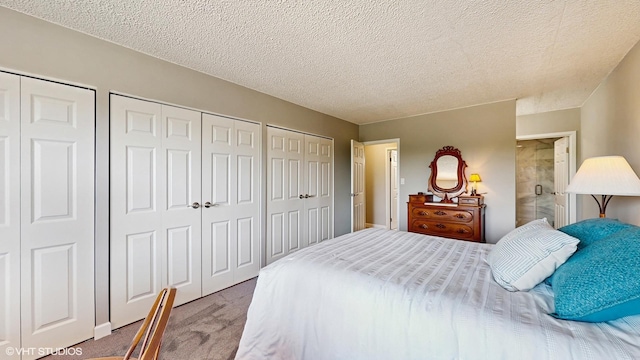 5400 Walnut Ave Unit 201, Downers Grove, IL 60515 - bedroom with multiple closets, carpet floors, and a textured ceiling
