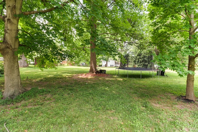 8524 Carriage Hills Rd, Bloomington, IL 61705 - view of grassy yard featuring a trampoline