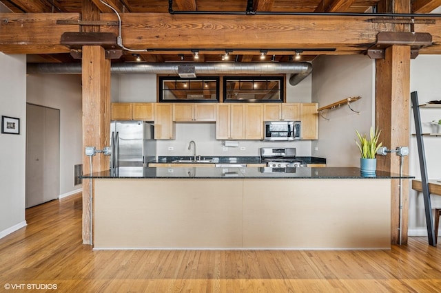 1735 W Diversey Pkwy Unit 402, Chicago, IL 60614 - kitchen with stainless steel appliances, a sink, track lighting, light wood-style floors, and light brown cabinetry