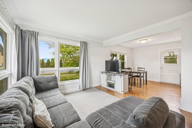 803 W Miner St, Arlington Heights, IL 60005 - living area featuring healthy amount of natural light, light wood-style flooring, ornamental molding, and baseboards