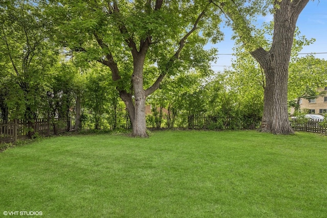 803 W Miner St, Arlington Heights, IL 60005 - view of yard
