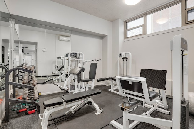 1550 N Lake Shore Dr Unit 9F, Chicago, IL 60610 - exercise room with a wall unit AC
