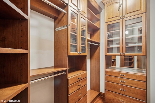 3832 W Chase Ave, Lincolnwood, IL 60712 - view of walk in closet