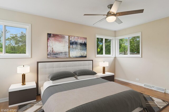 354 W Pleasant Hill Blvd, Palatine, IL 60067 - bedroom with multiple windows, wood finished floors, and a ceiling fan