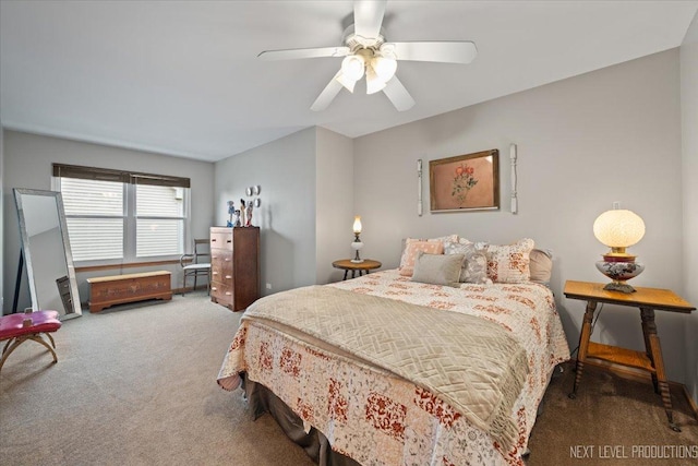 2937 Arbor Ln, Aurora, IL 60502 - bedroom featuring carpet floors and a ceiling fan
