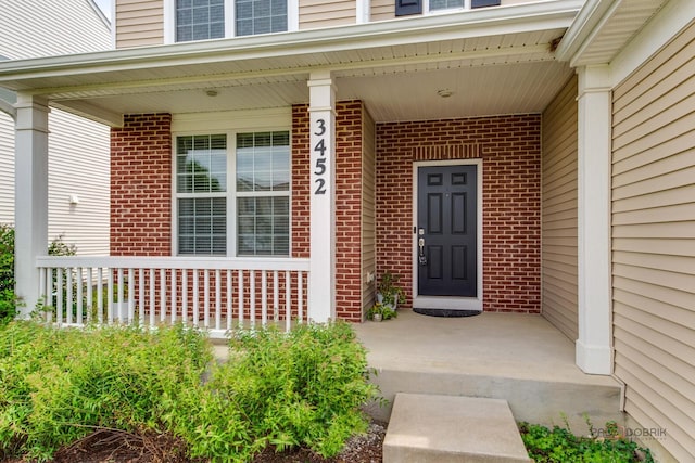 3452 Birch Ln, Naperville, IL 60564 - doorway to property with a porch and brick siding
