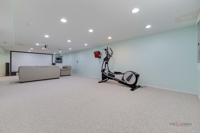 3452 Birch Ln, Naperville, IL 60564 - exercise room with electric panel, recessed lighting, carpet, and baseboards