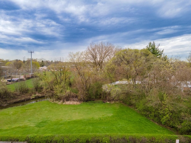 810 N River Rd Unit 3A, Mount Prospect, IL 60056 - view of grassy yard