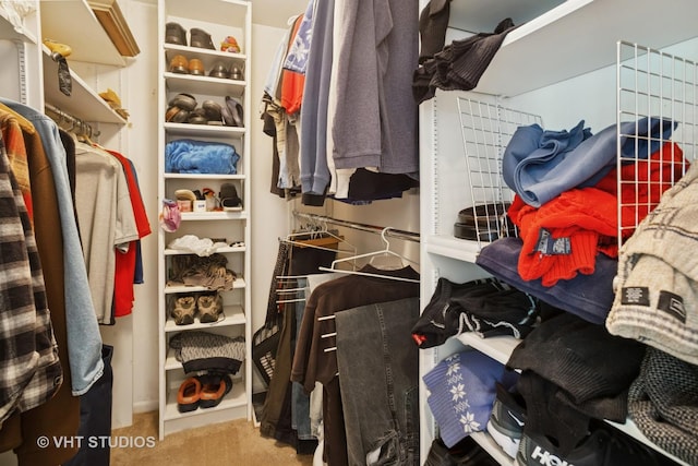 30 W Wimbolton Dr Unit 30, Mount Prospect, IL 60056 - spacious closet featuring carpet