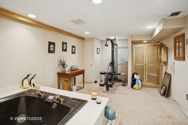 30 W Wimbolton Dr Unit 30, Mount Prospect, IL 60056 - exercise area with carpet floors, wood walls, and recessed lighting