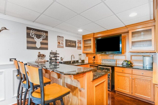 769 Brighton Dr, Sugar Grove, IL 60554 - indoor wet bar featuring crown molding, wine cooler, a paneled ceiling, and recessed lighting