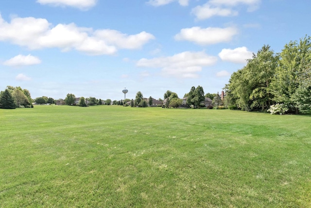 769 Brighton Dr, Sugar Grove, IL 60554 - view of green lawn