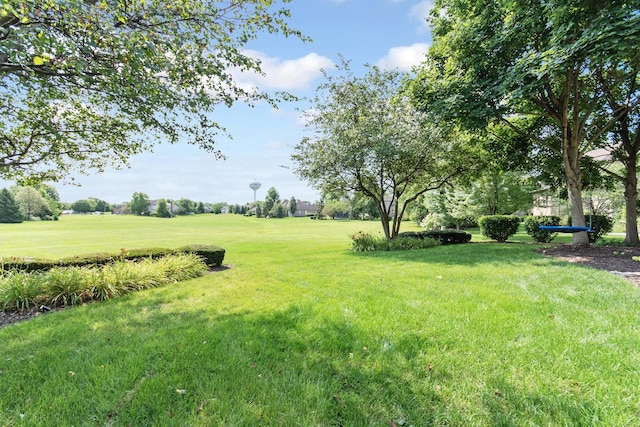 769 Brighton Dr, Sugar Grove, IL 60554 - view of grassy yard