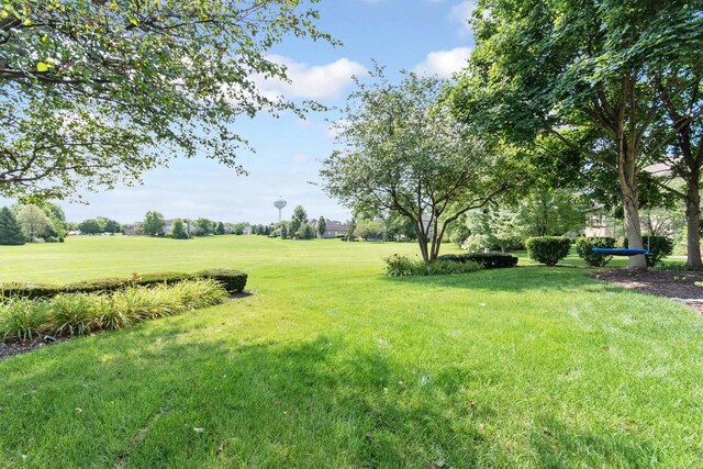 769 Brighton Dr, Sugar Grove, IL 60554 - view of grassy yard